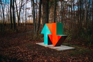 Kunstwerk in het bos